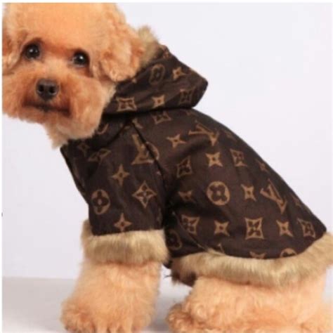 Louis Vuitton dog wardrobe